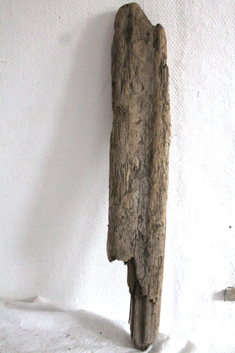 Schwemmholz treibholz brett - treibholz,