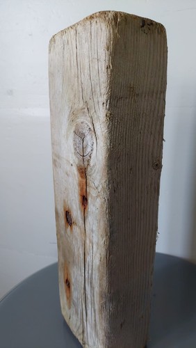 Schwemmholz treibholz holz - treibholz,