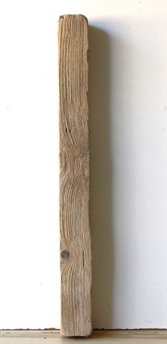 Treibholz schwemmholz - treibholz,
