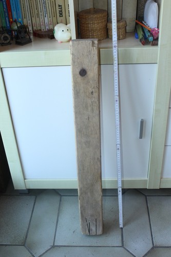 Dicker treibholz - dicker,