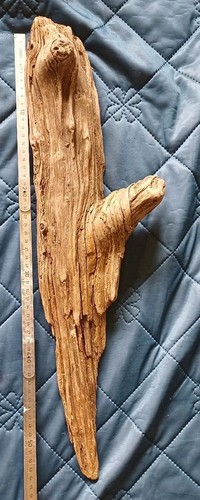 Treibholz schwemmholz - treibholz,