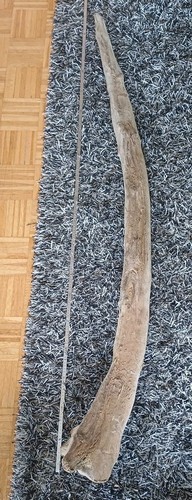 Elefantenzahn xxxl driftwood - xxxl,