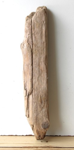 Treibholz schwemmholz - treibholz,