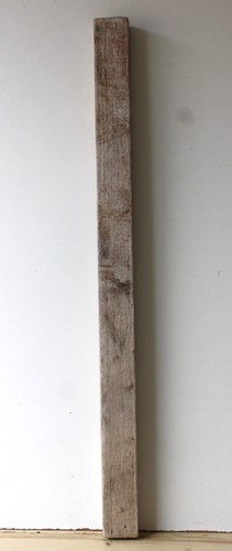 Treibholz schwemmholz - treibholz,
