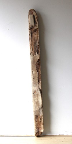 Treibholz schwemmholz - treibholz,