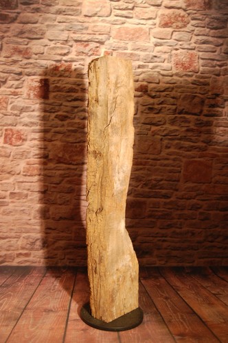Eichenbalken 250 jahr alt - eichenbalken,
