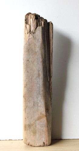 Treibholz schwemmholz - treibholz,