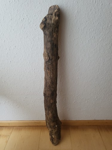 Treibholz wurzel ast - wurzel, brett